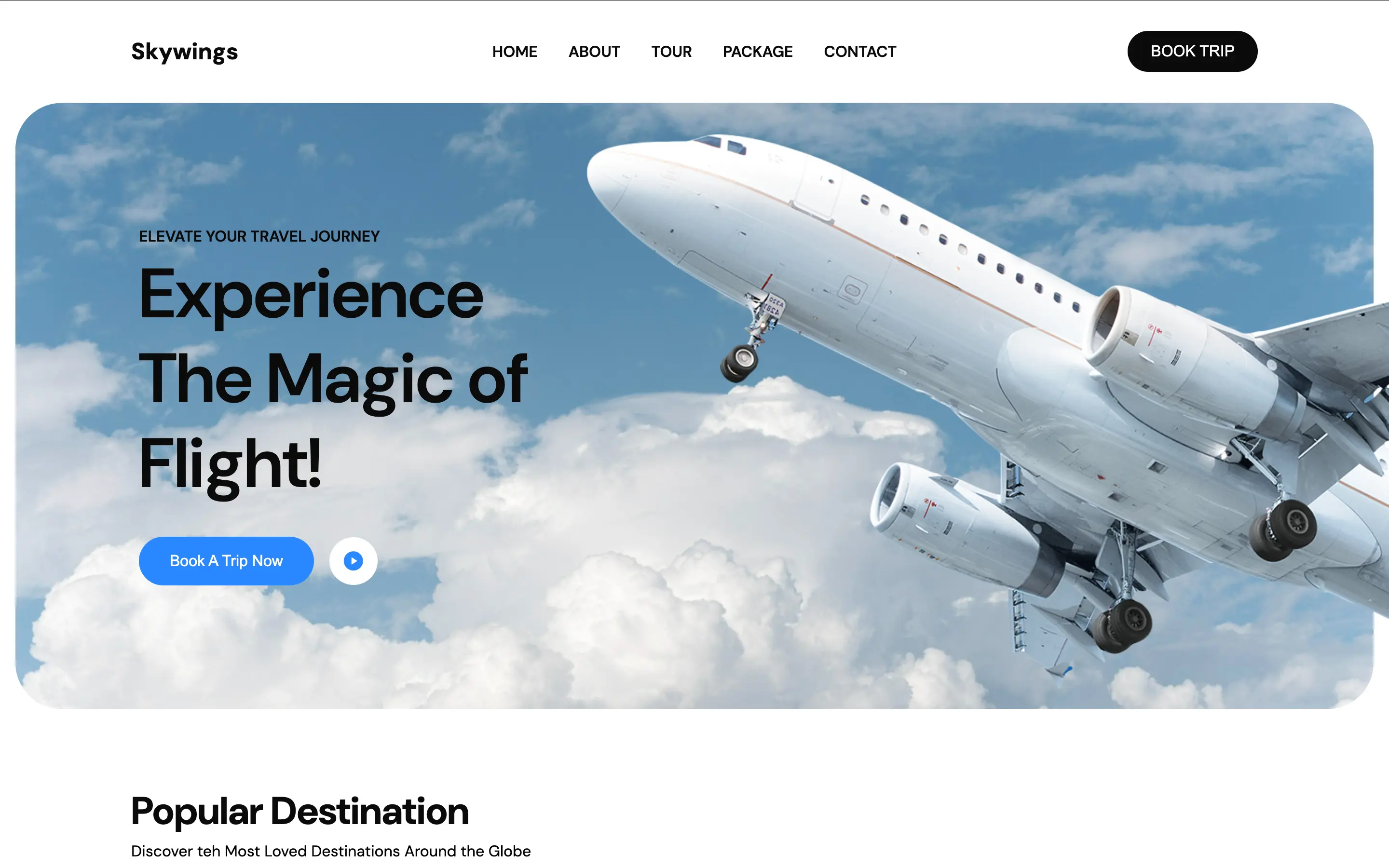 An image of the Skywings project.